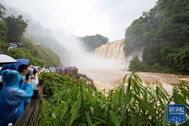 荷花|贵州黄果树瀑布迎入汛后最大水量
