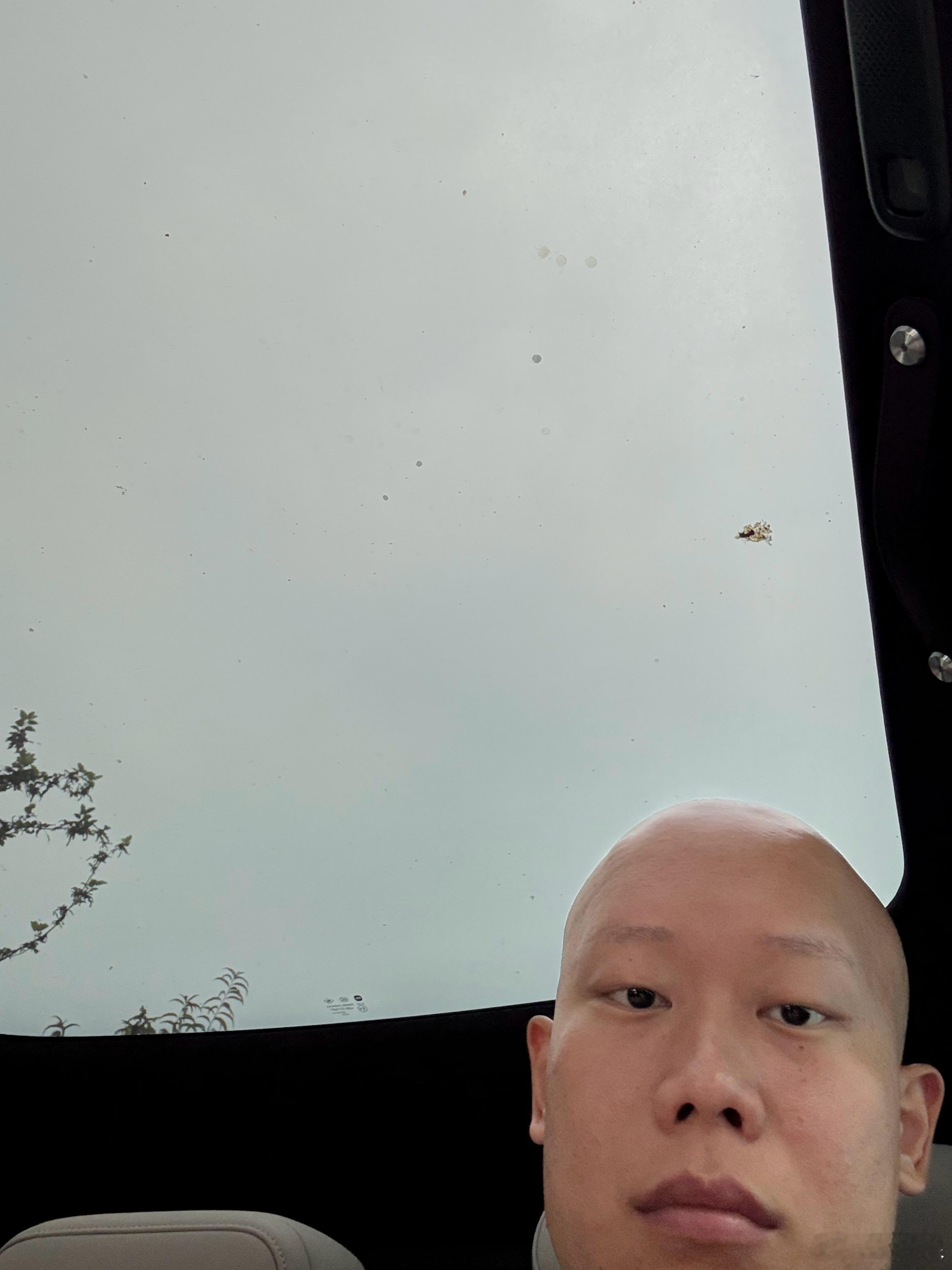 玻璃车顶的日常。毫无美感。 ​​​