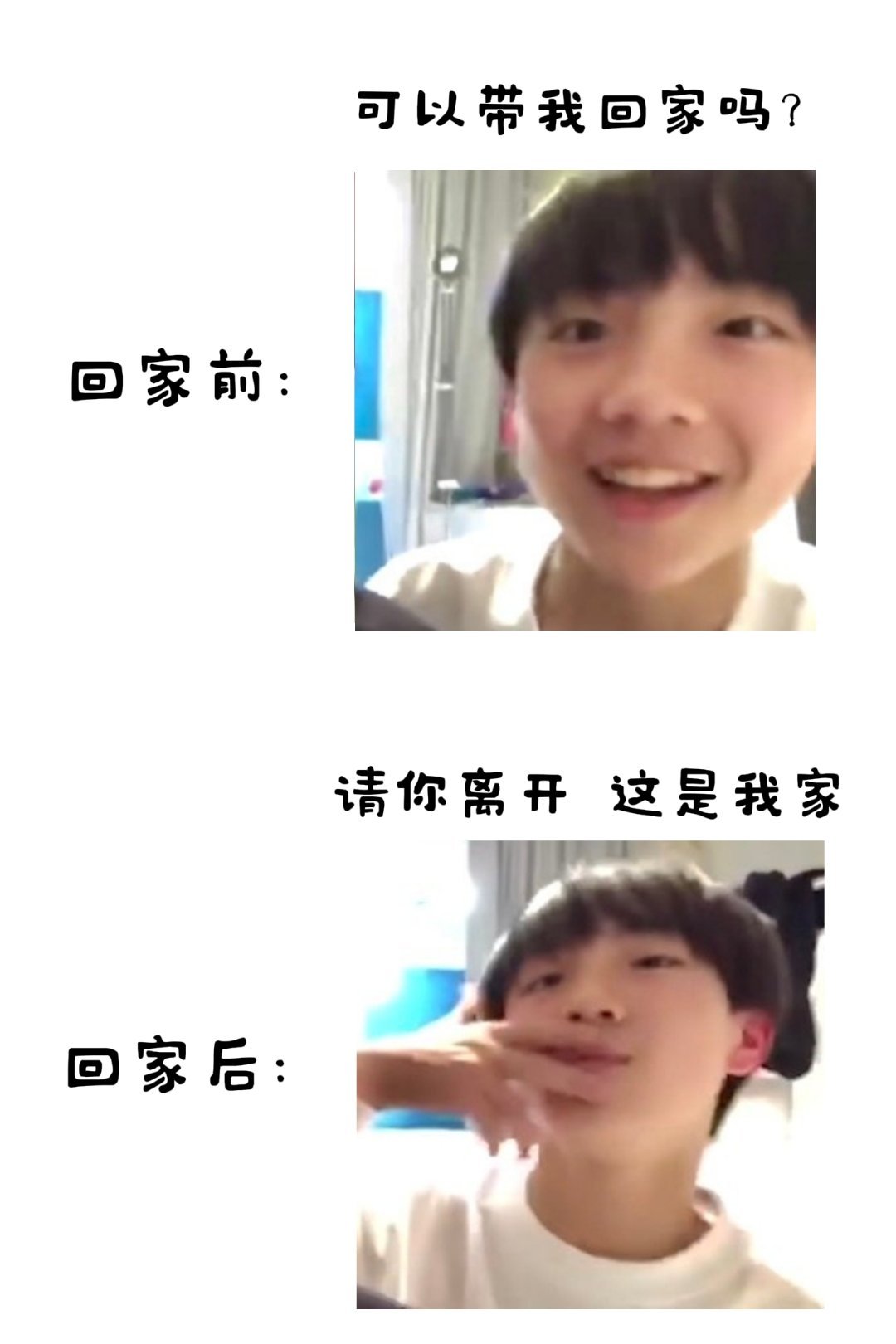 【4890】嚣张的小兔想当兔老大 