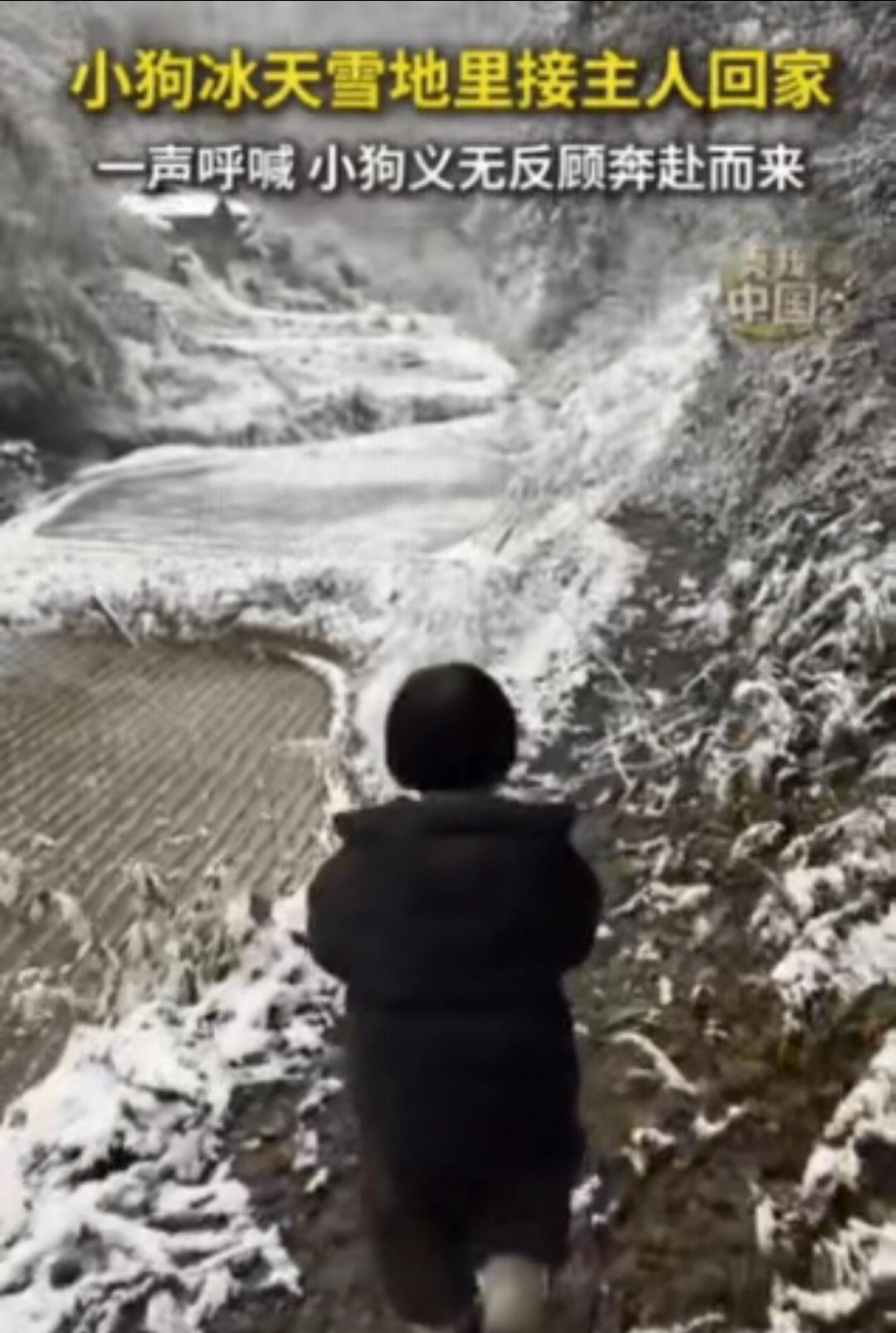 被新华社点赞了！湖北一女子带女儿回老家，眼看快到村里了，女子大喊：旺财，我回来了