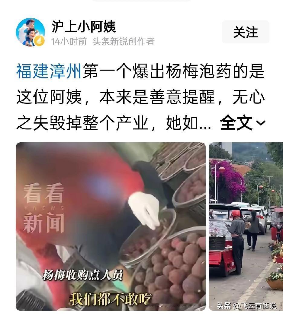 杨梅滞销，错不在爆出杨梅泡药内幕的阿姨，而是为了好卖而泡药的那些奸商
按说杨梅泡