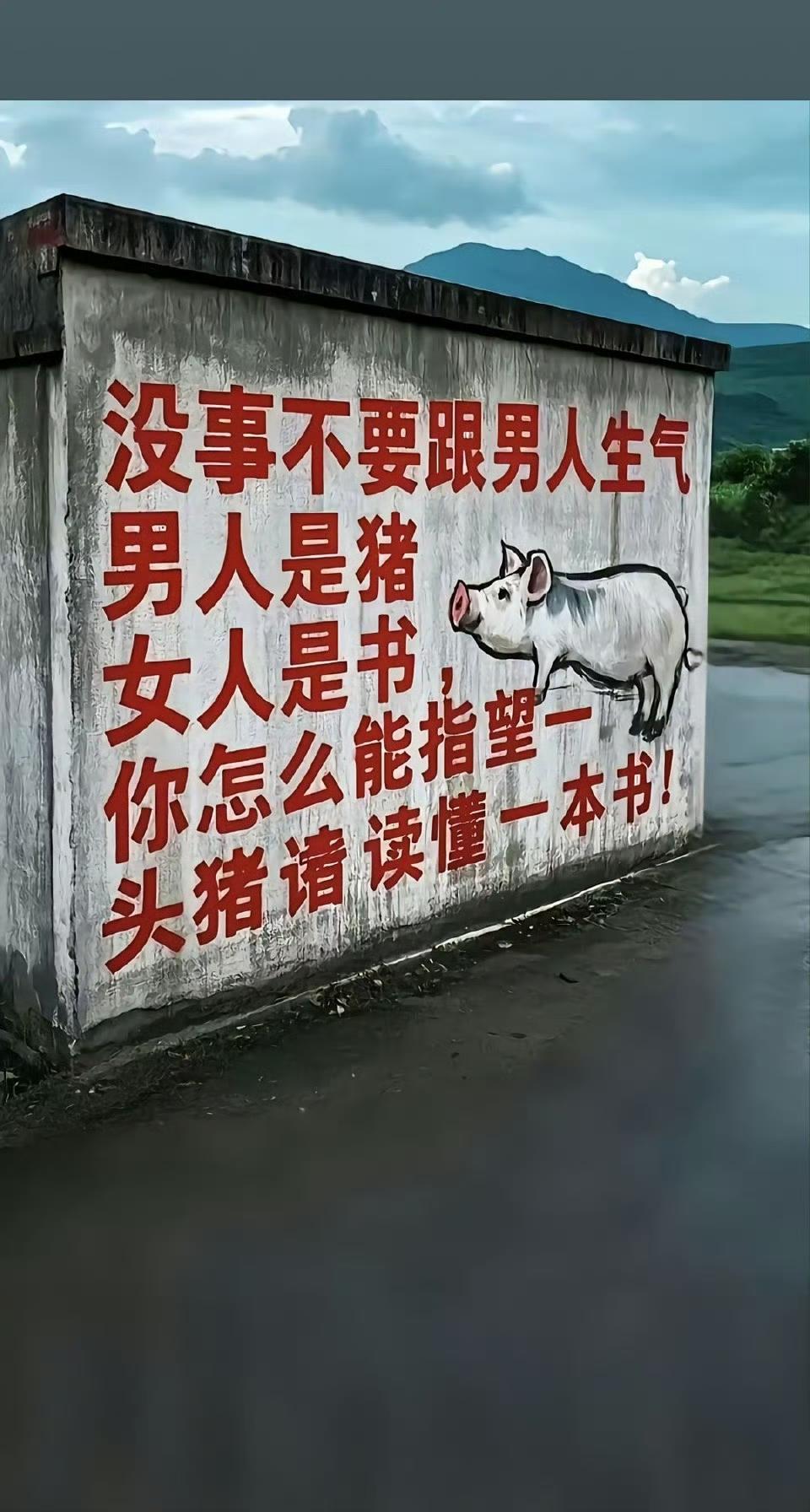 没事不要跟男人生气男人是猪女人是书
你怎么能指望一头猪读懂一本书!