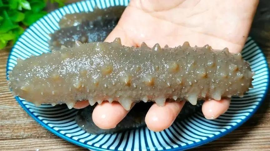 中年男性新宠，非生蚝韭菜，常吃它提升男性魅力

海参作为一种高营养的海产品，确实