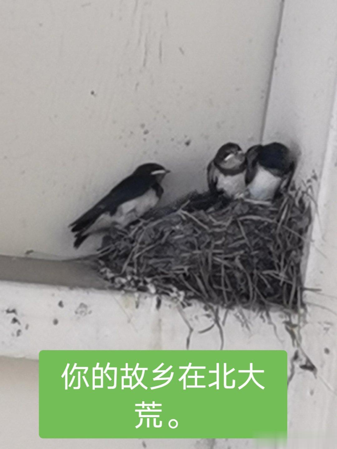分享图片 ​​​
