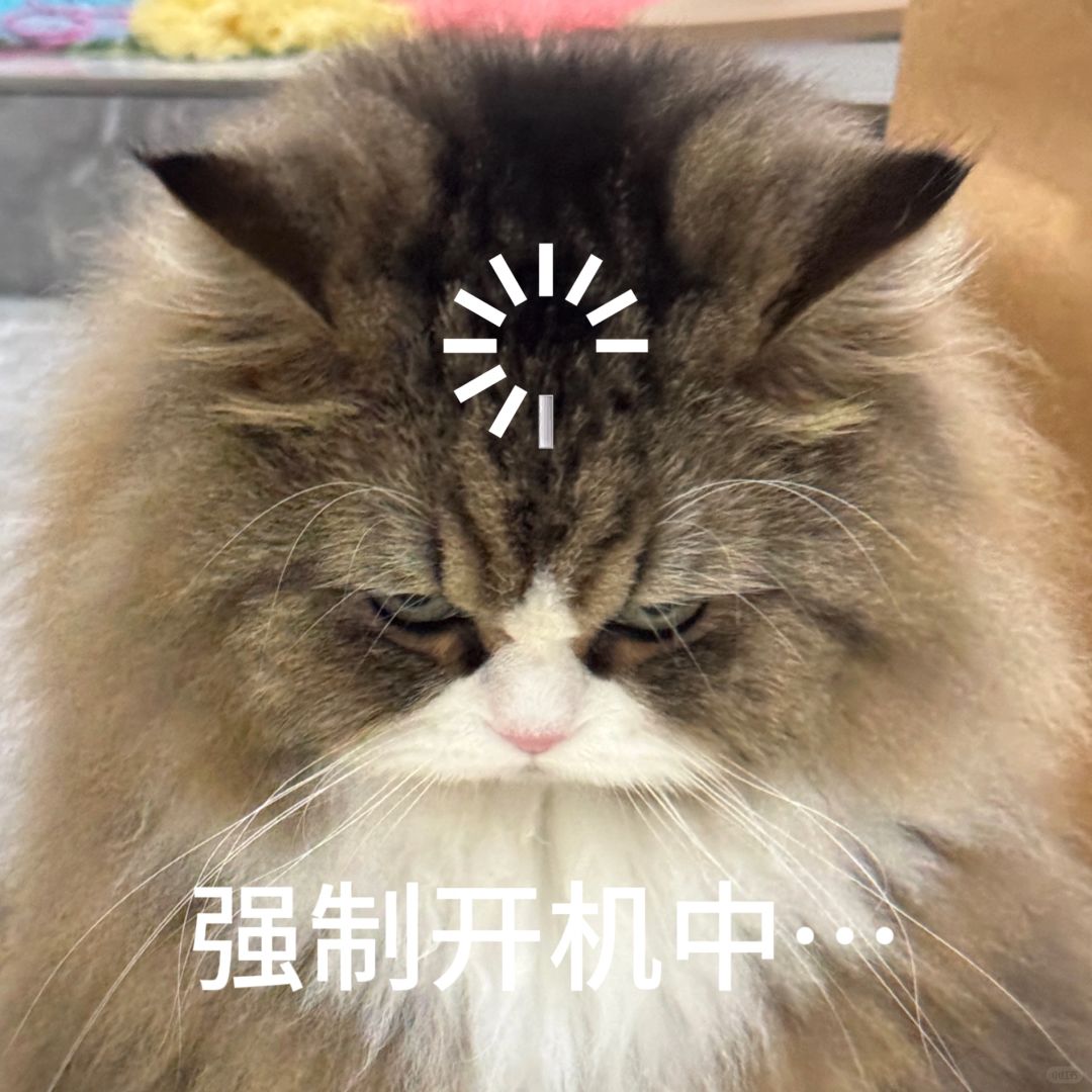 周三坏！！！！☹️