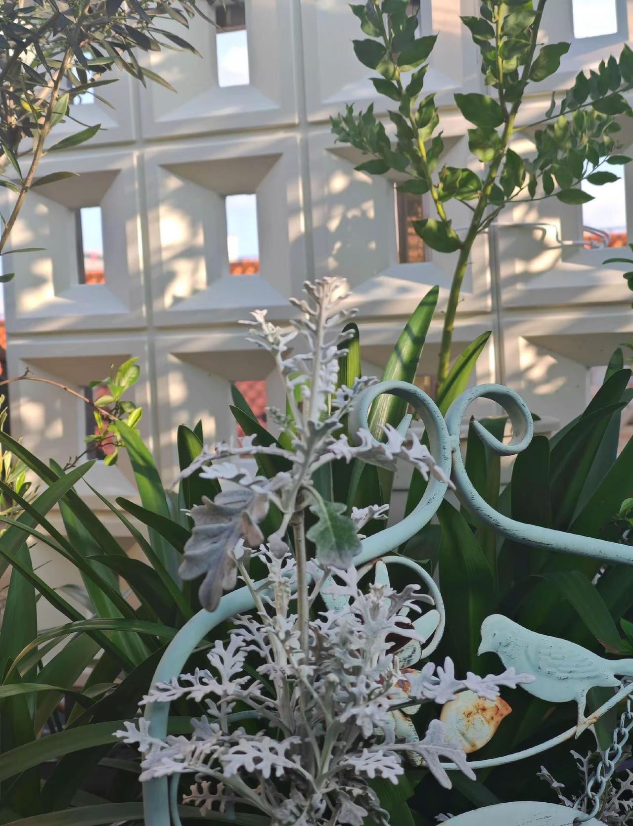 湖南终于出太阳了，太让人激动了～湖南 下雨 种花