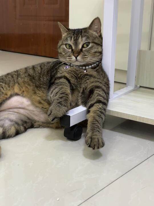 Look in my eyes，tell me 你还爱搞吗