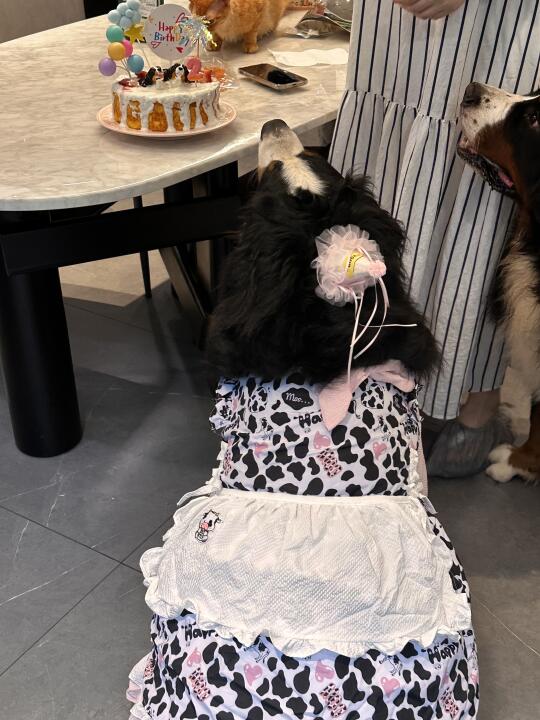 蒹葭妹妹2岁🎉
