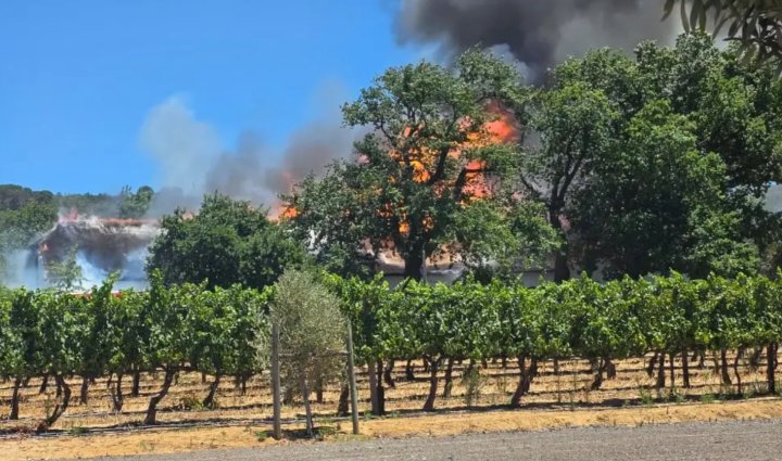 南非著名酒庄发生严重火灾，一座拥有约300年历史的开普荷兰式历史建筑被大火完全烧毁