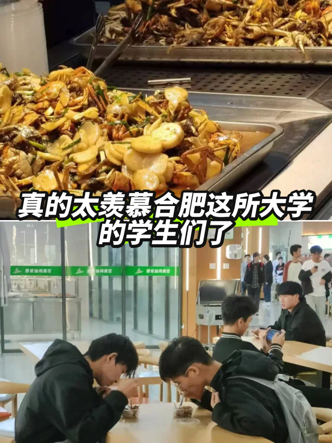 这么大太羡慕合肥这所大学的学生们了！😂