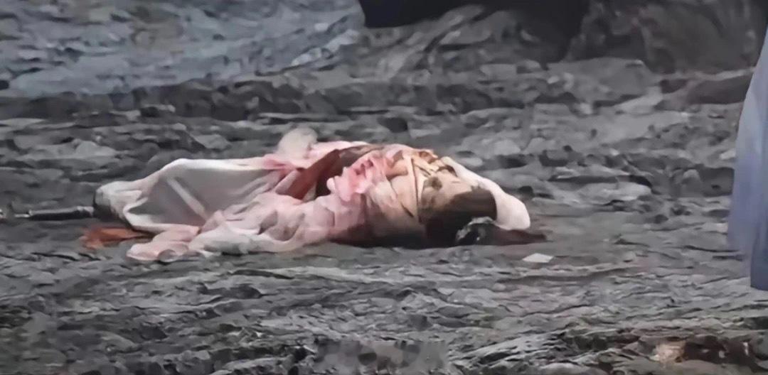 《淮水竹亭》张正至死不知，害死他的人，其实是王权弘业，青木媛杀死张正？黑狐若想正