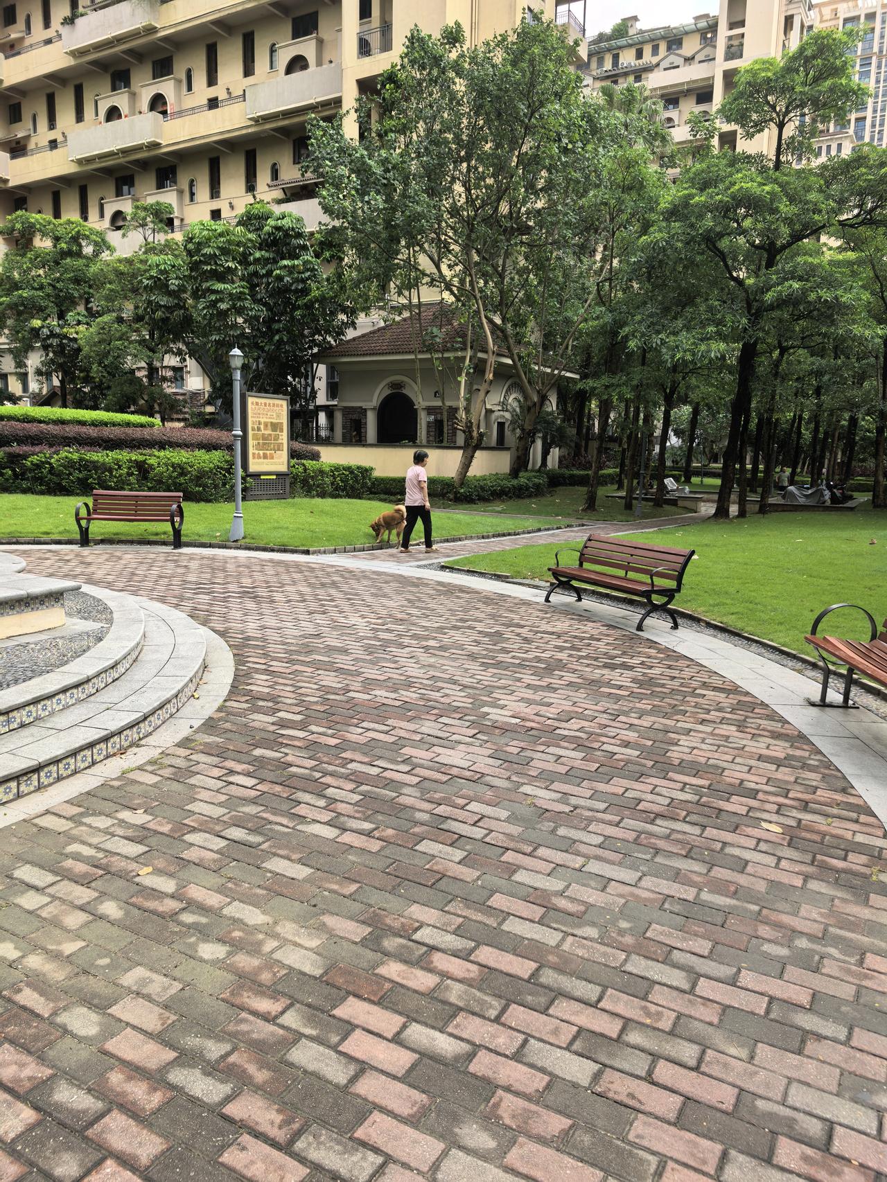 用不了多久，深圳将臭气熏天，这绝非危言耸听。不信你到各小区周边的绿化带看看，每隔