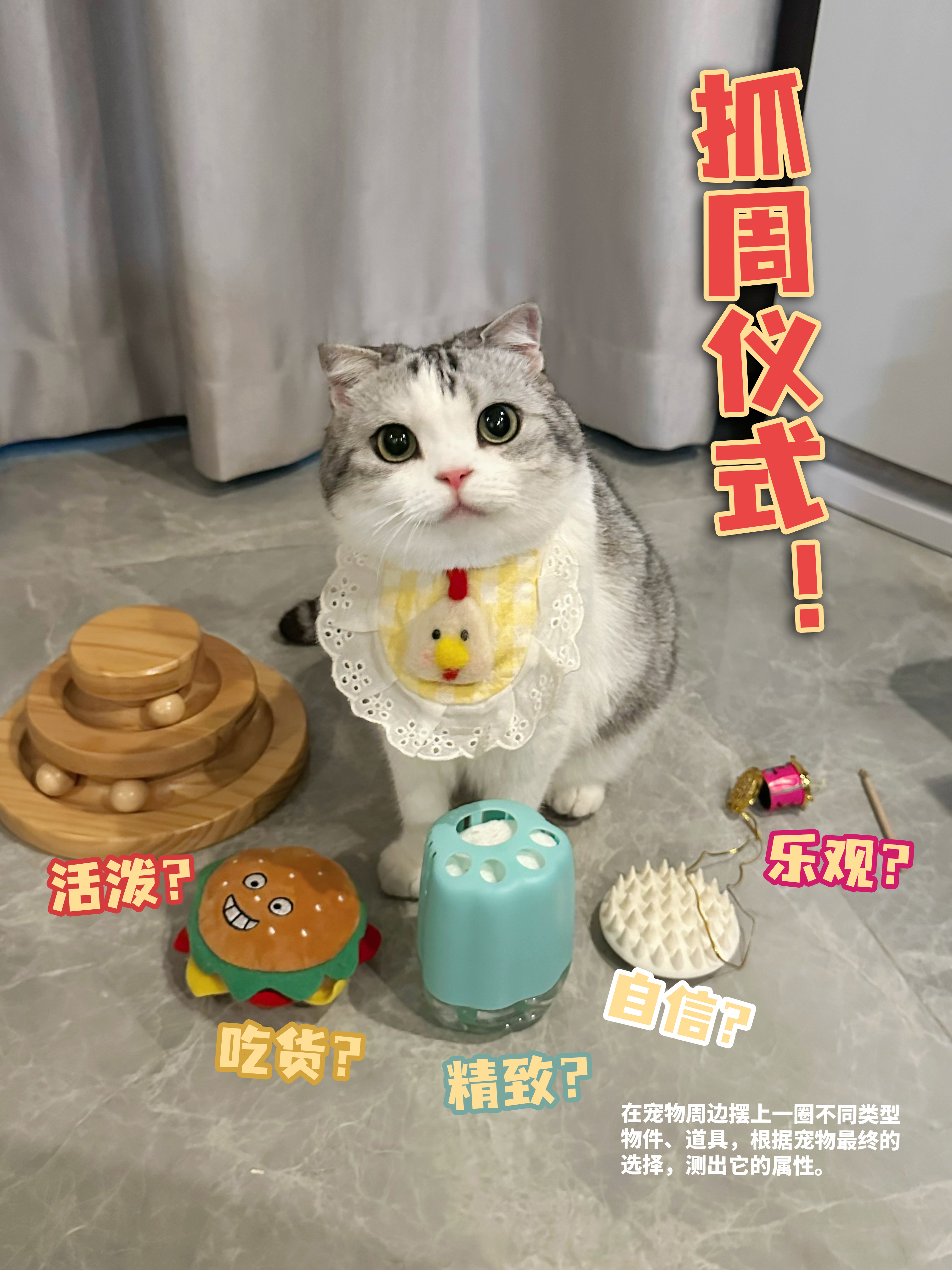 泡芙就要七岁生日啦！想了很久要怎么给宝宝庆祝。于是我们给她准备了一场特别的抓周仪