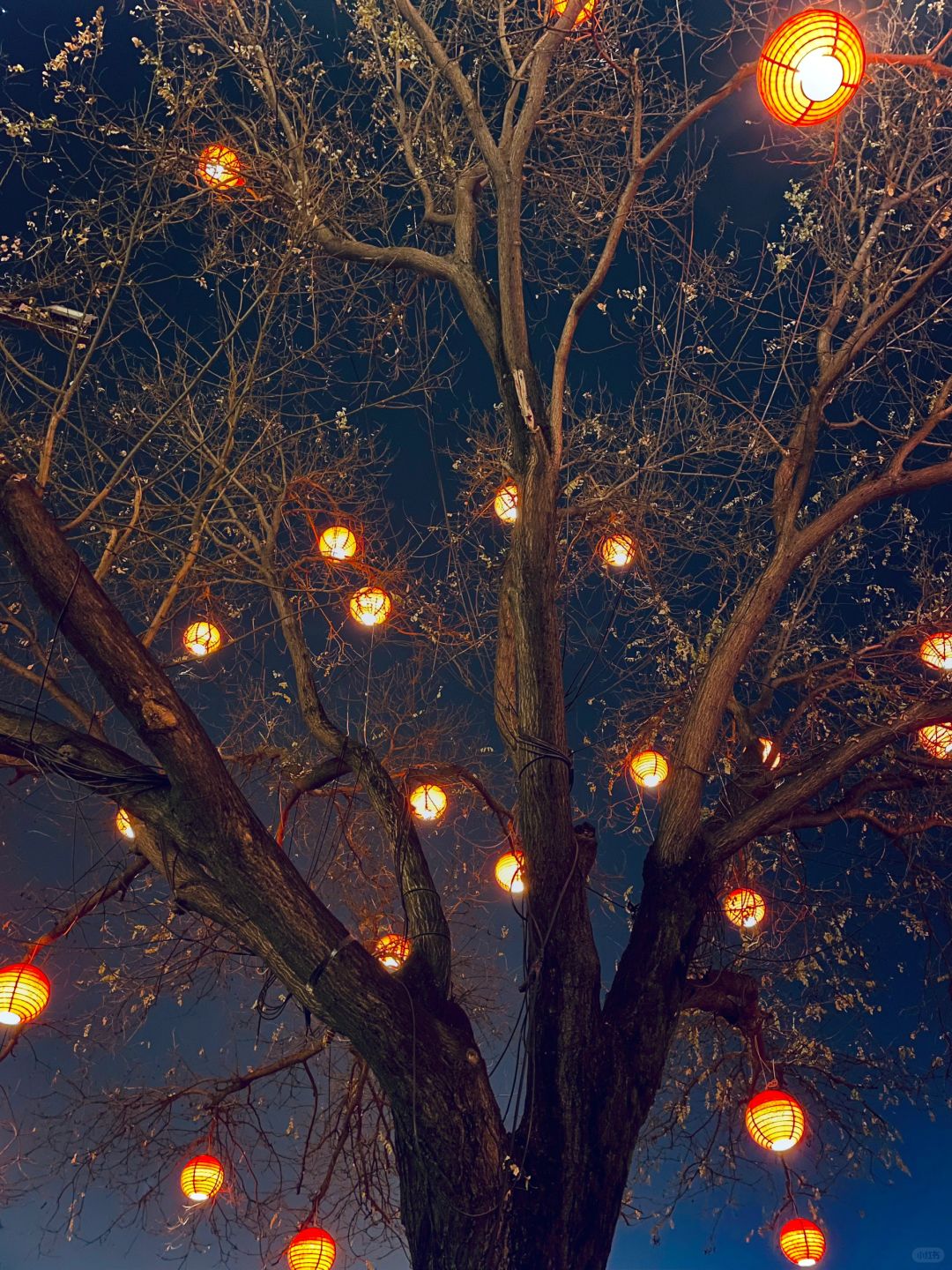 西安真是一个不夜城！