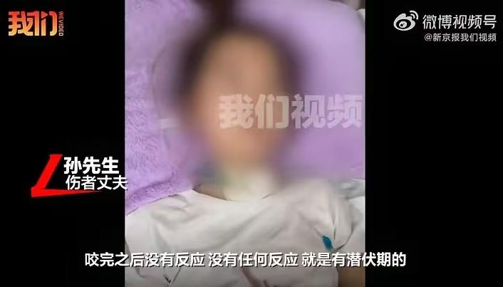 “最担心的事情还是发生了！”黑龙江哈尔滨，29岁女子和丈夫带着宠物狗去伊春游玩，
