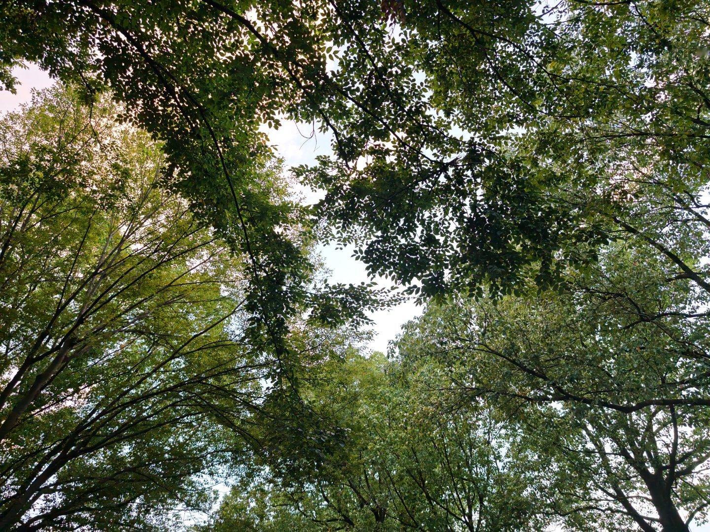 杭州又要来台风喽… ​​​