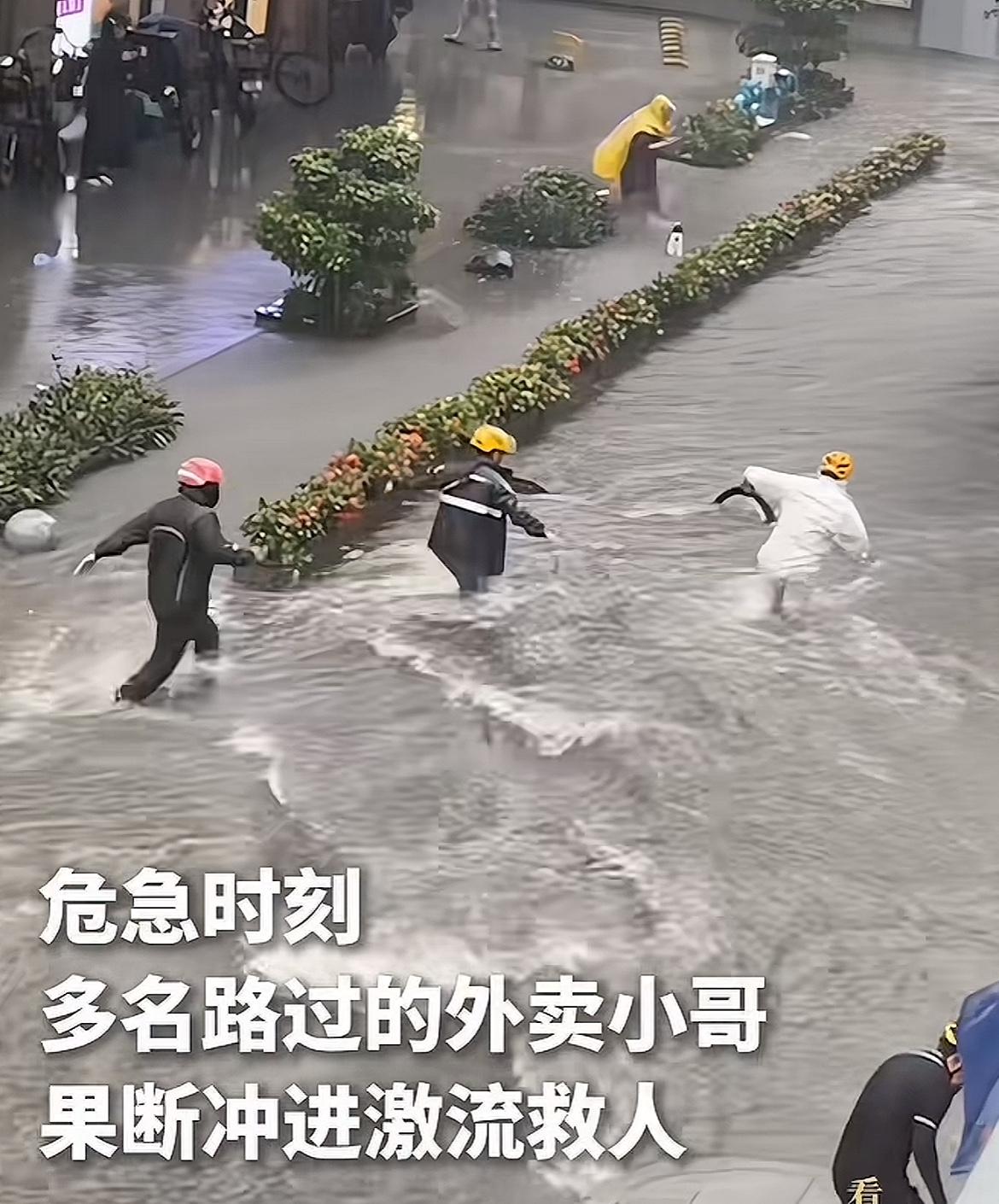 “仗义多是屠狗辈，负心尽是读书人”

网上看到一件事儿，南方某地暴雨引发水灾，一