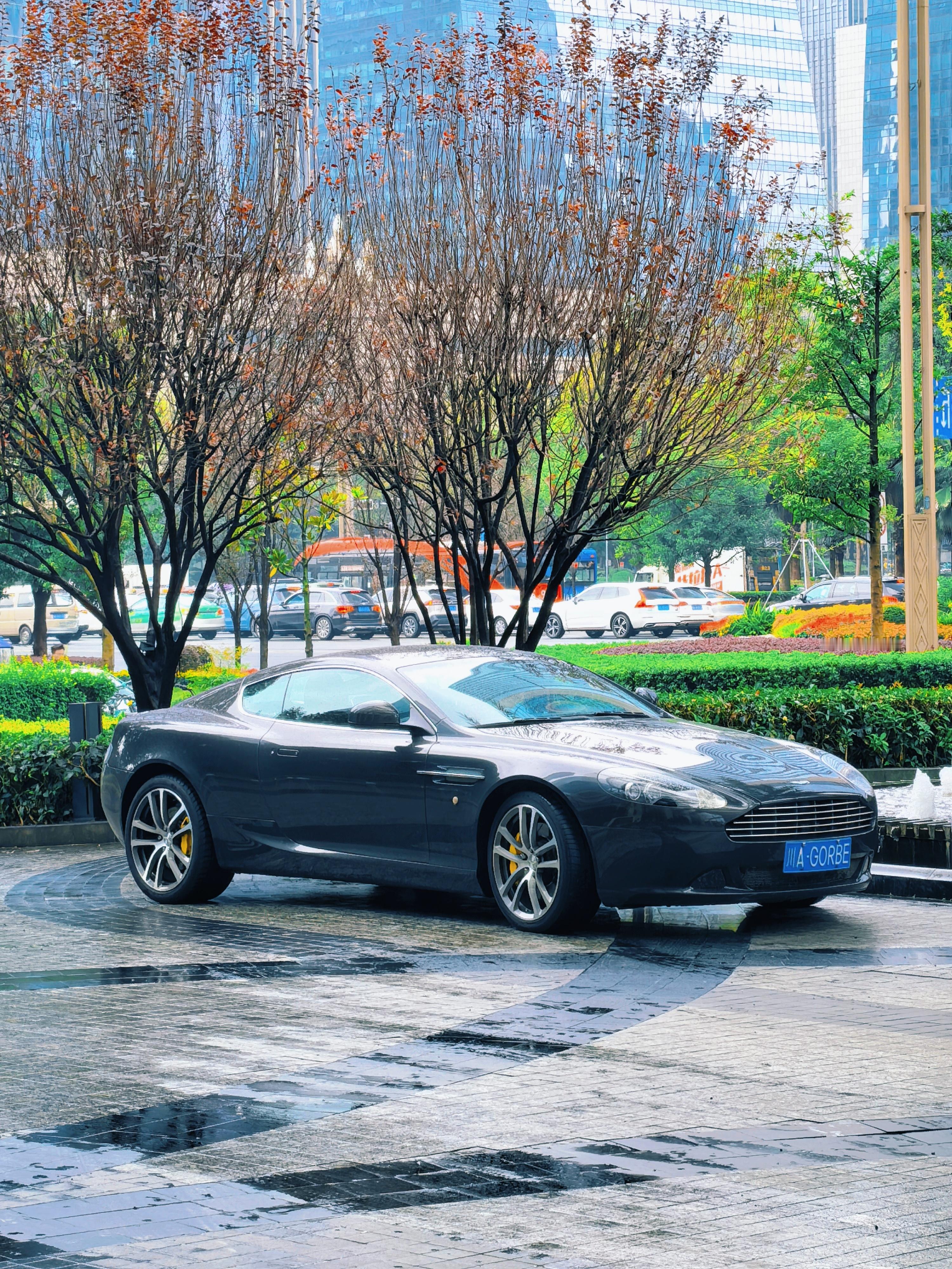 成都玩车氛围非常好，我在成都经常看到车况非常好的经典豪车，酒店门口这台DB9依然