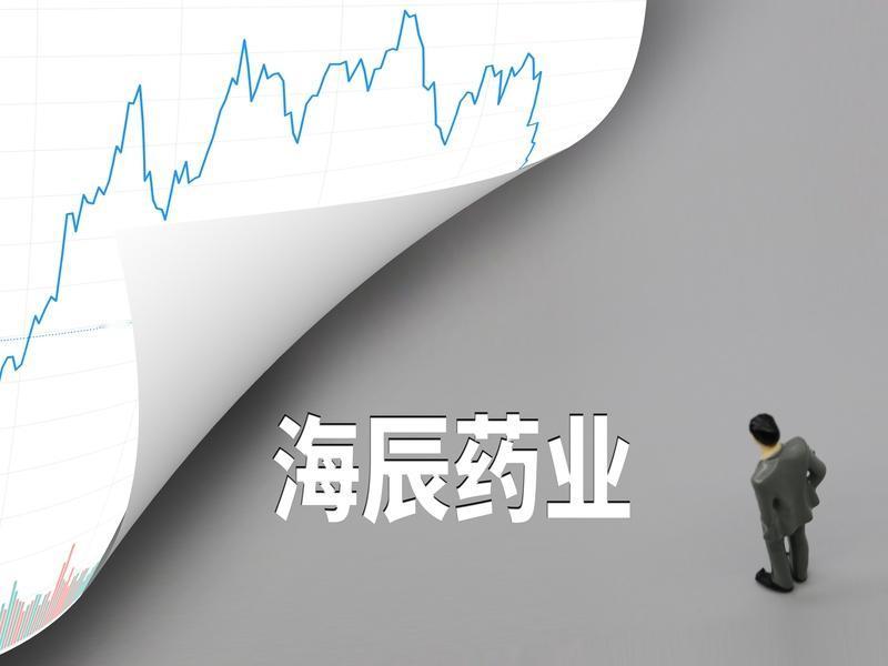 海辰药业，一家2003年成立于南京经济技术开发区的高新技术企业，集医药研发、生产