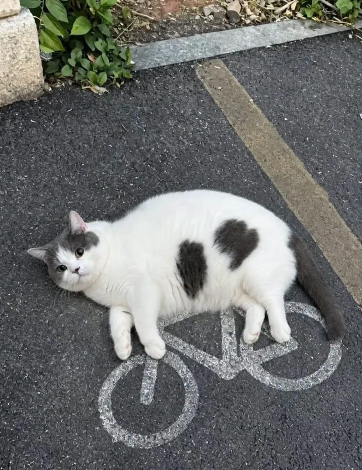 超重了 ​​​