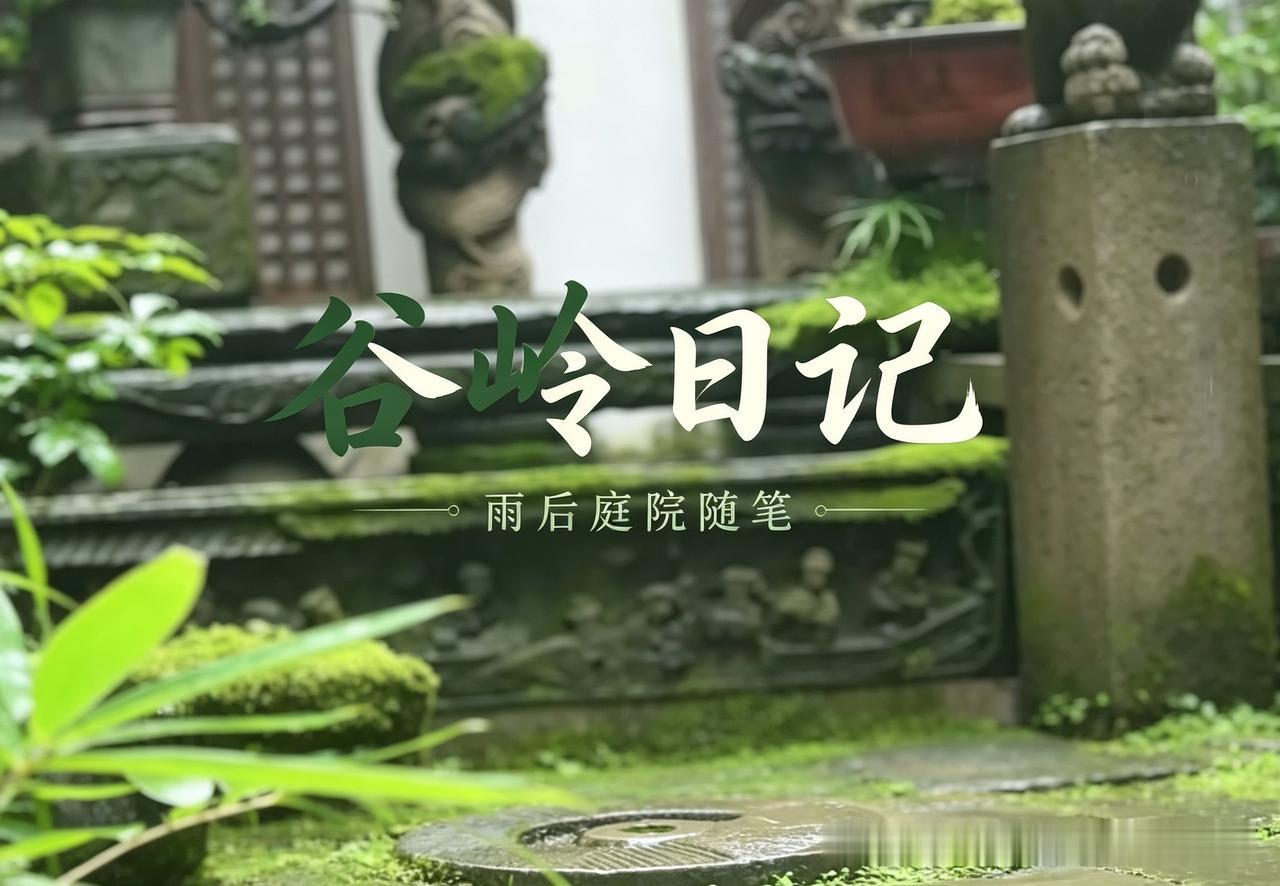 谷岭日记（2026年7月20日·晴转雨）

下午，老李在灶台边擦碗，手机响了。接