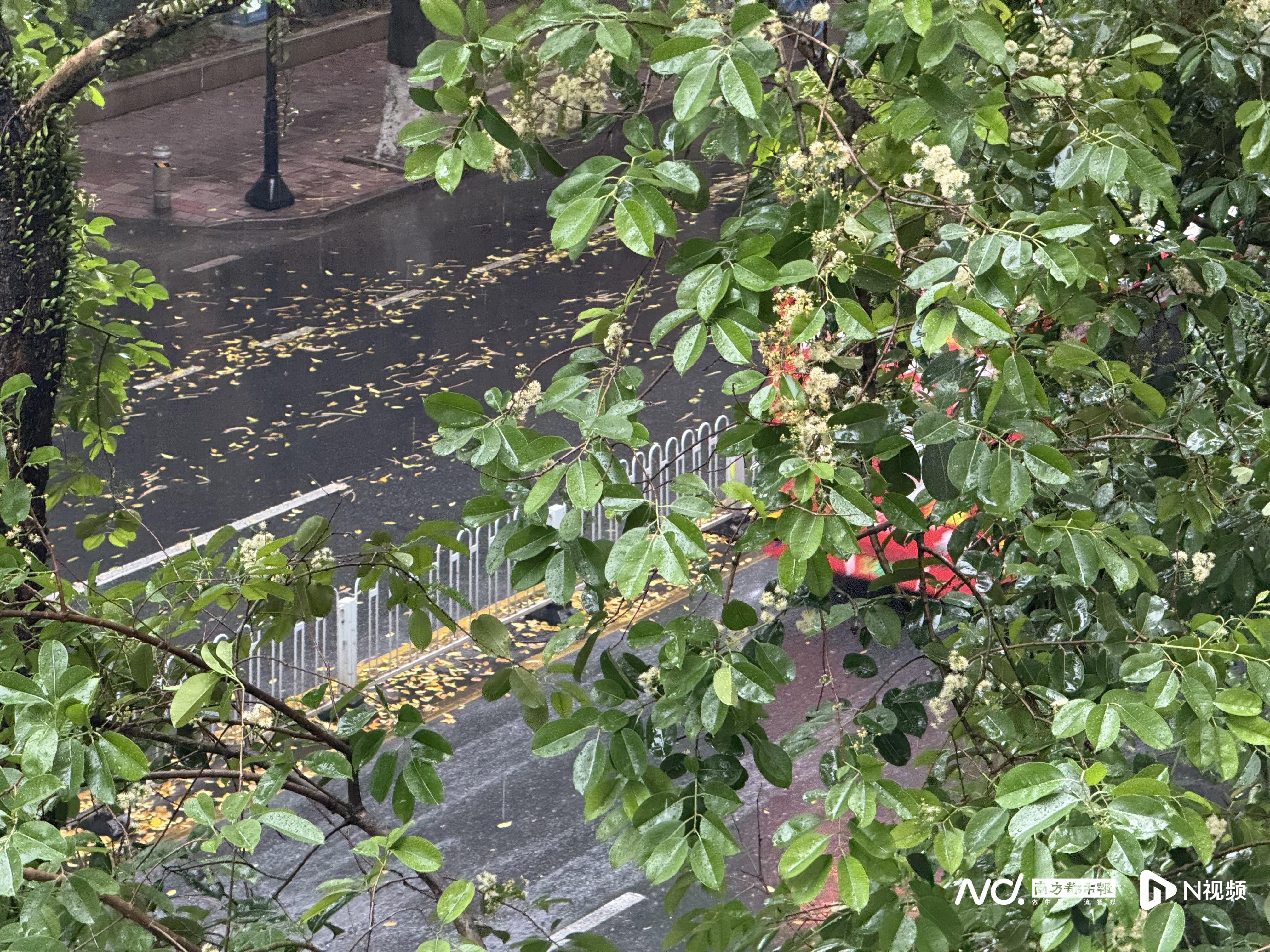 #广州全市雷雨大风黄色预警#【广州全市发布雷雨大风黄色预警！增城6小时内或出现冰