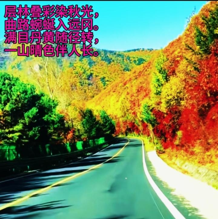 层林叠彩染秋光，
曲路蜿蜒入远冈。
满目丹黄随径转，
一山晴色伴人长。