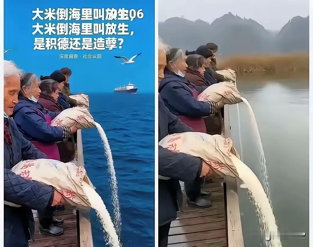 岂有此理！把糟蹋粮食说成是放生！这是对礼佛的亵渎！针对有人将几十袋大米倒进海里，