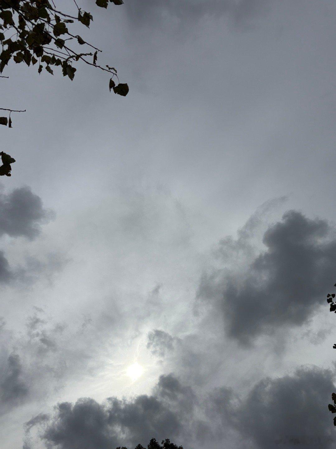 资本市场里每个月；每一个阶段，每一个季度每一年，每三五年都是有价值的，都有最优策