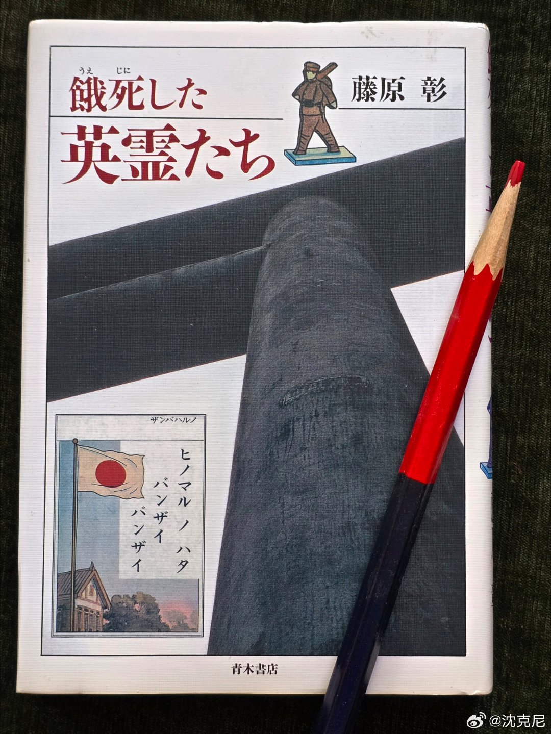 由日本辗转购得的《饿死的英灵》一书近日到手(图1)。16年来，我在专题讲座中经常