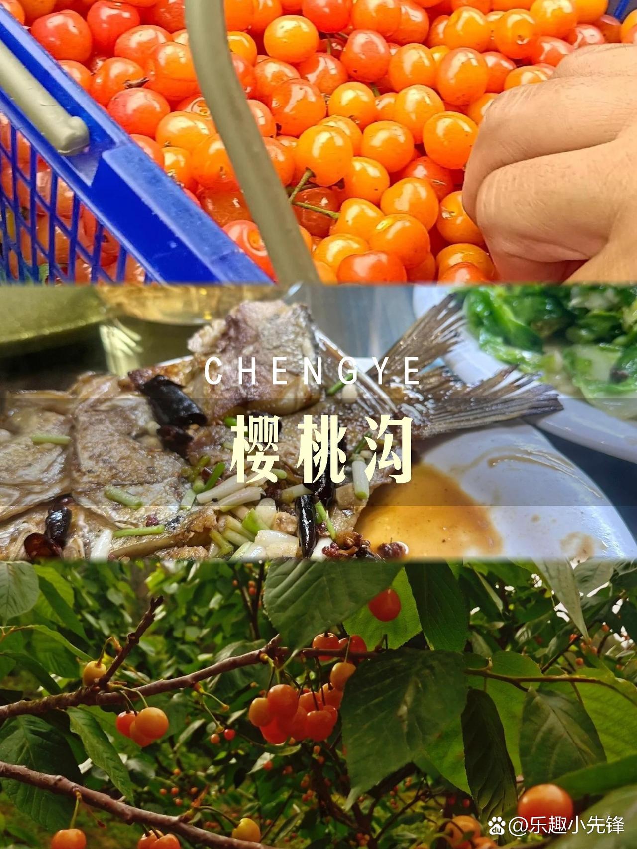 🌸十堰樱桃沟一日游保姆级攻略！

刚从樱桃沟回来，立刻整理出这份超详细游玩攻略