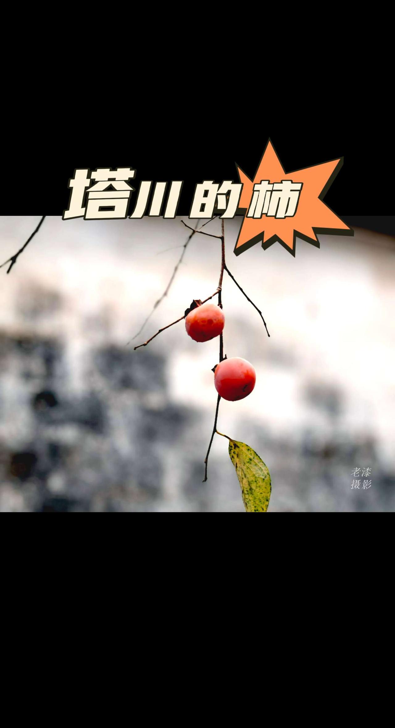 塔川秋色塔川的柿