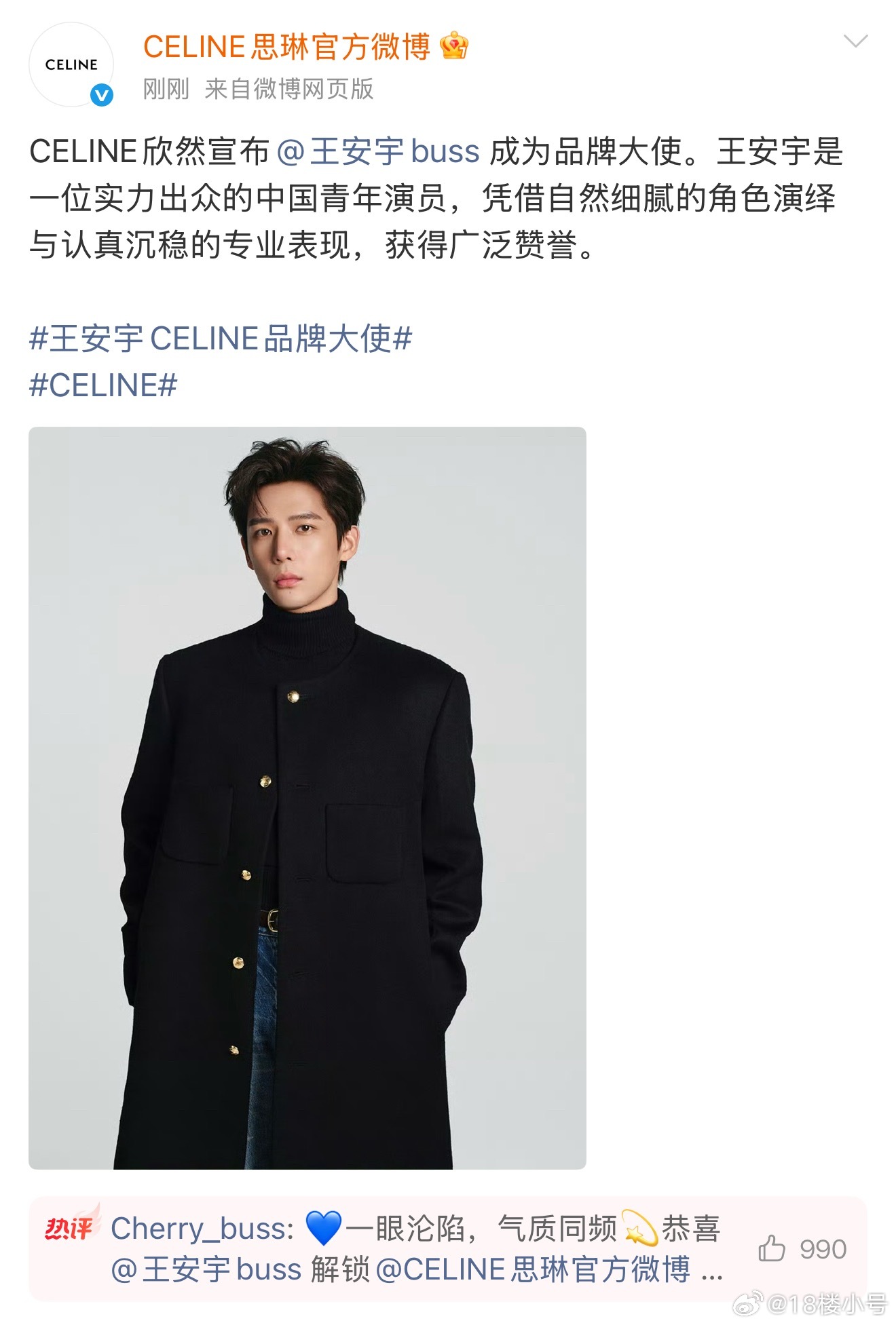 刚刚王安宇官宣Celine品牌大使，之前我居然一点风声都没刷到 