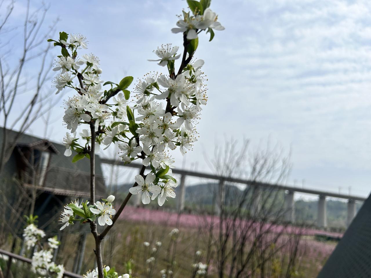 一个男人要是外面有人了，不用看什么高深的心理学，就看这3个最藏不住的变化：

1