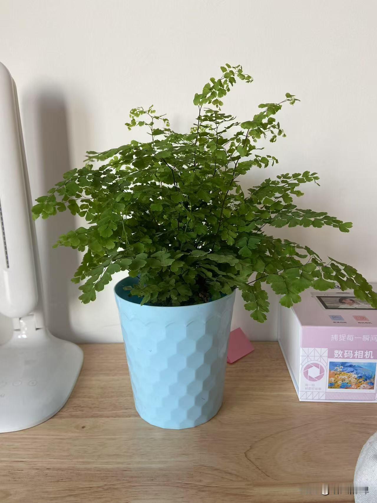 贵州有茅台酒
四川有五粮液酒
山东有孔府家酒
江西有李渡酒
陕西有西凤酒
山西有