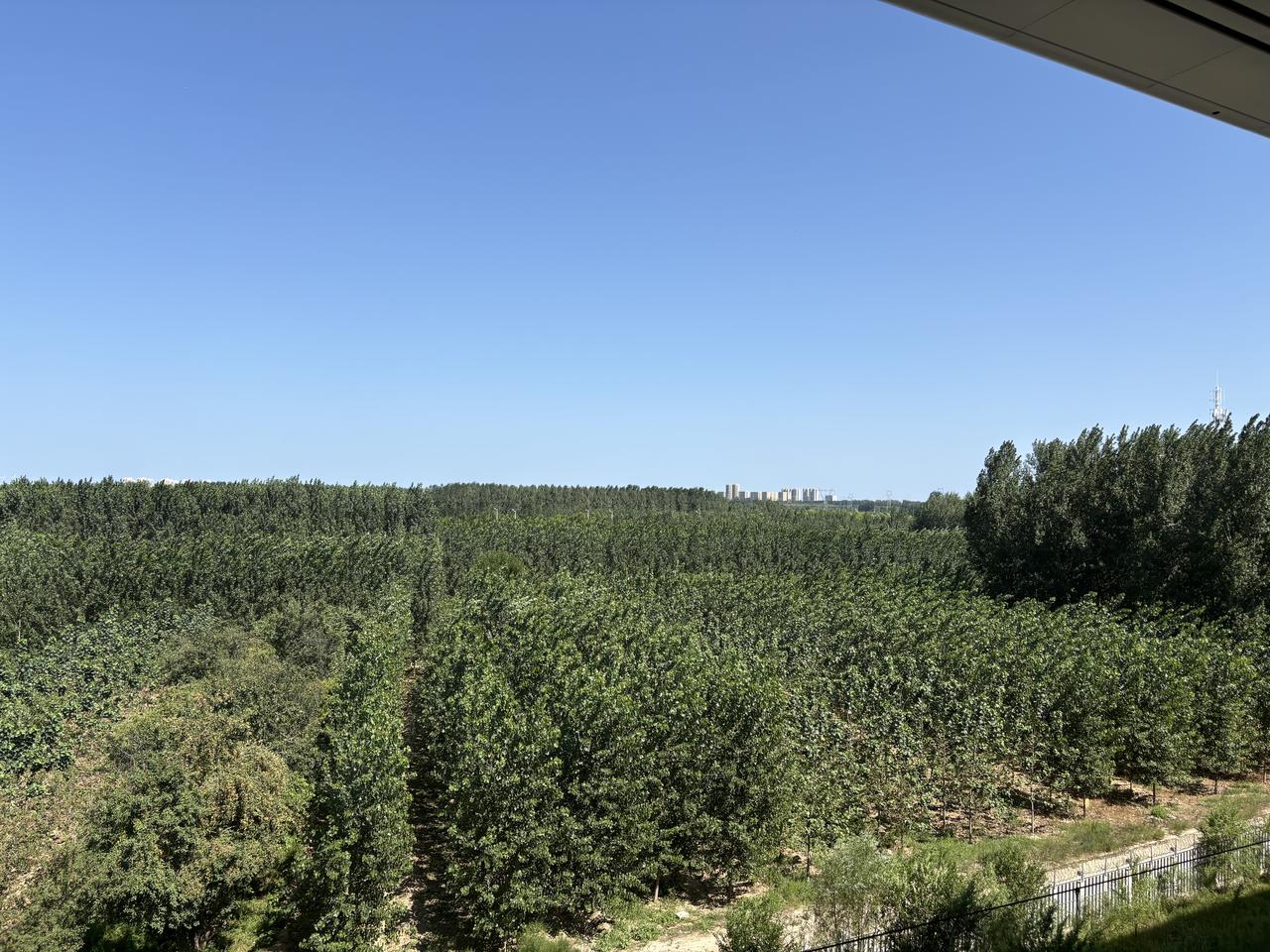 三个要看紧：采购，库管，理发师的手。