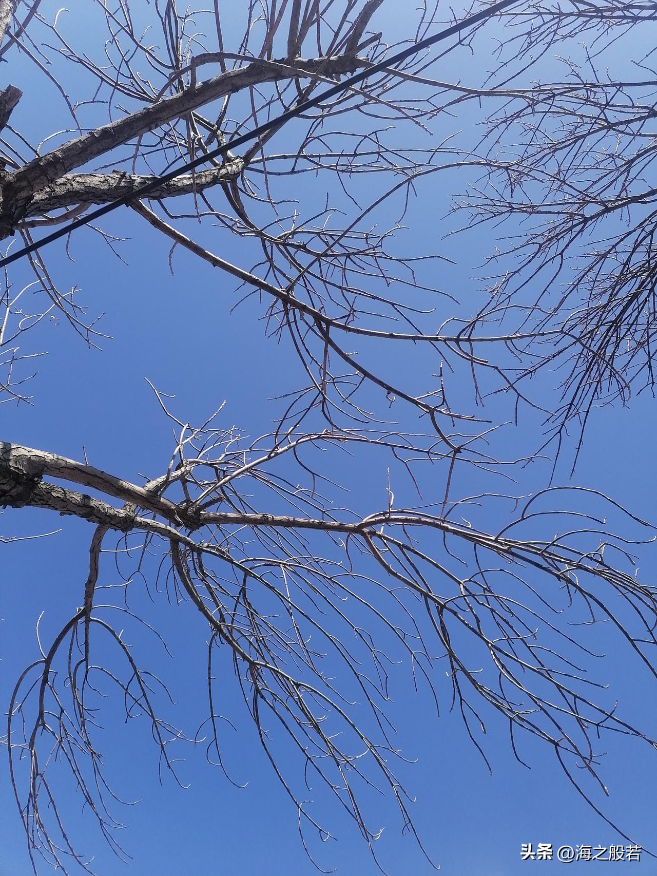 哪首歌能让你回到学生时代春去春会来，花谢花会再开。只要你愿意，只要你愿意，让梦划