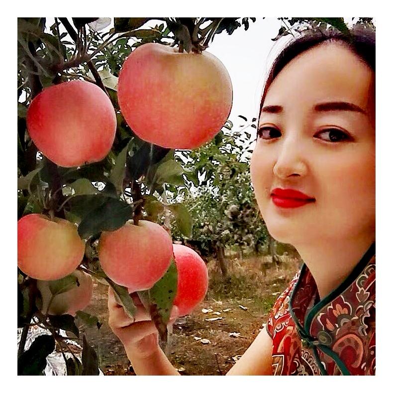 接纳夏日里
斑驳的过往
才是真正的新生

倘若我今天写下来
那是因为
我想起这一