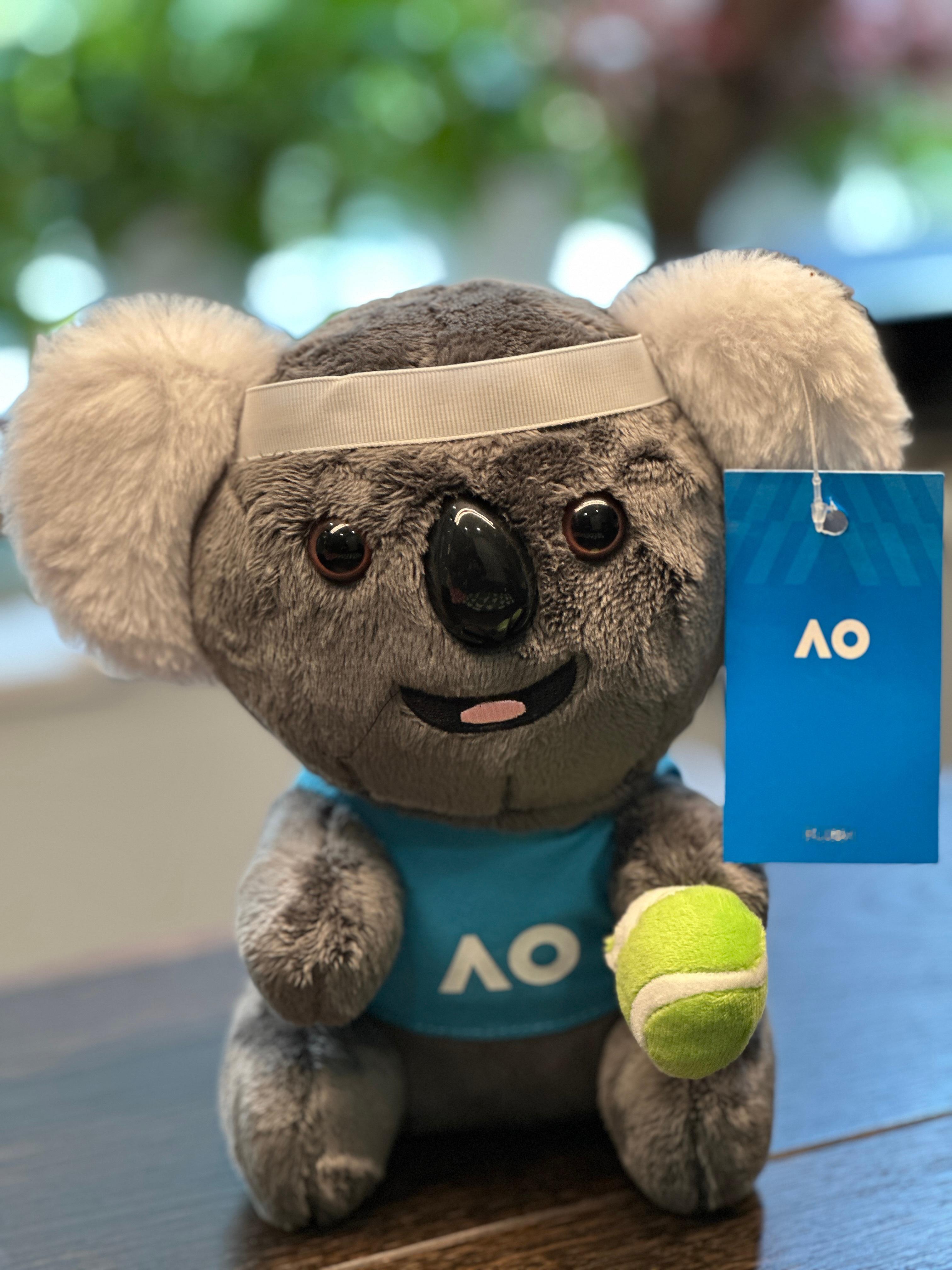 起床伸个懒腰，我吧唧了一下嘴：今年的澳网2026 还真是不错。澳网结束，那我还不