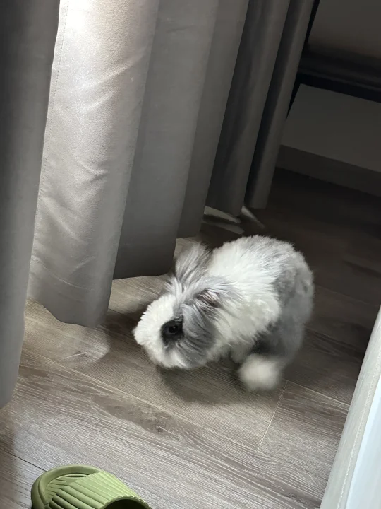 6点钟就来了