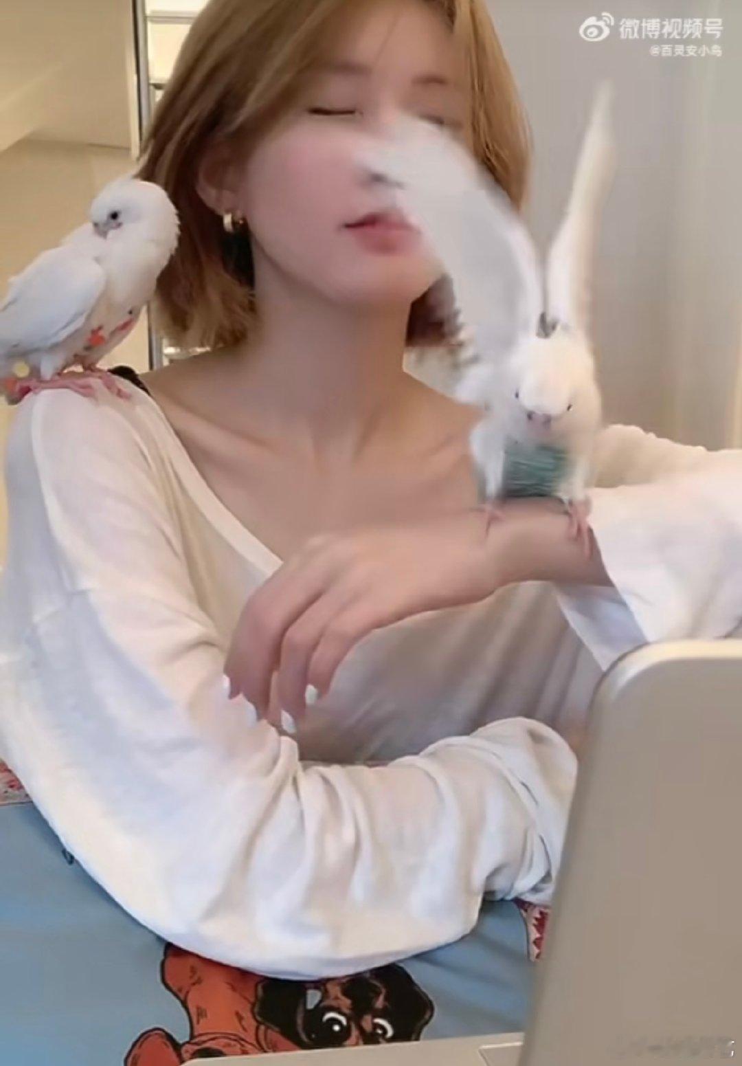 赵露思直播被鹦鹉咬耳环 笑不活了家人们，看赵露思直播，两只小鹦鹉简直是调皮担当，