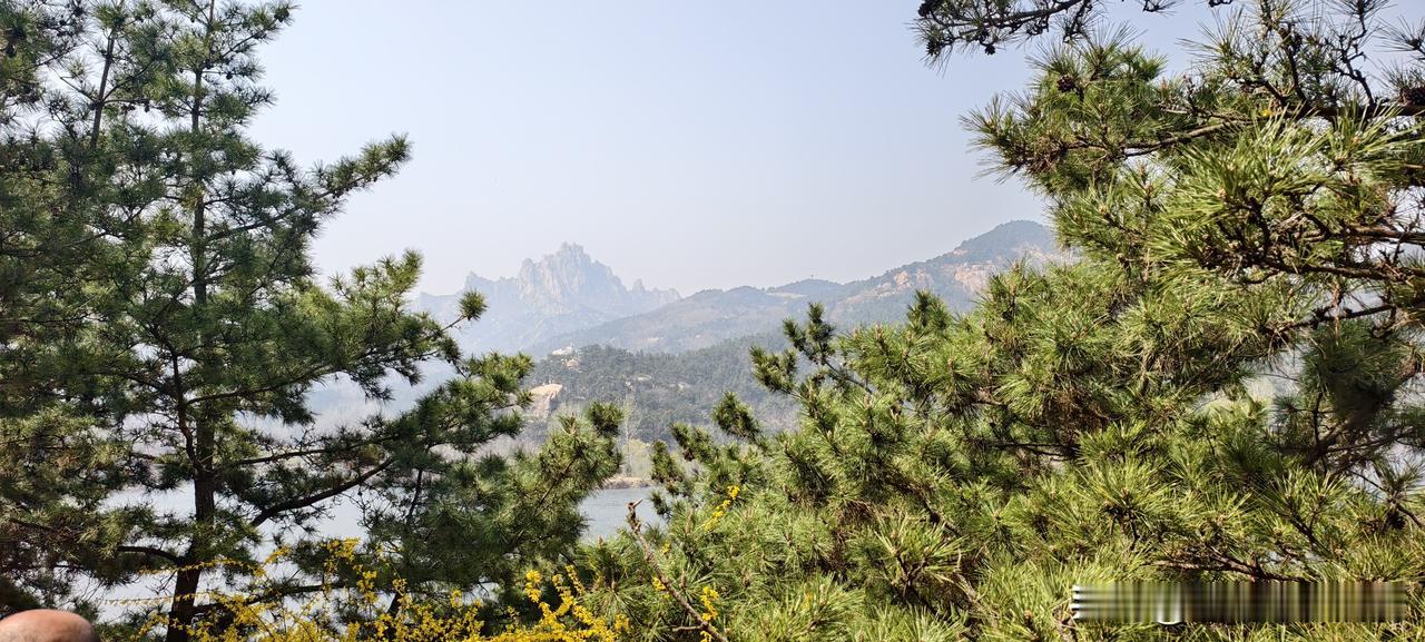 拿了一手烂牌，我却打出了全组最好的业绩

我第一份销售工作，分到的区域是全公司最