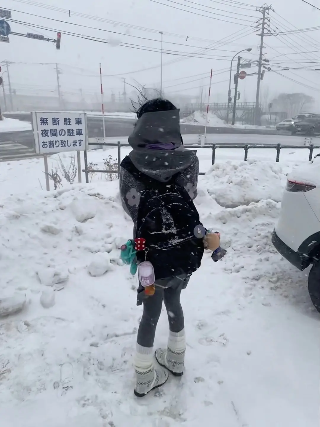 当时只道是寻常日本旅游雪