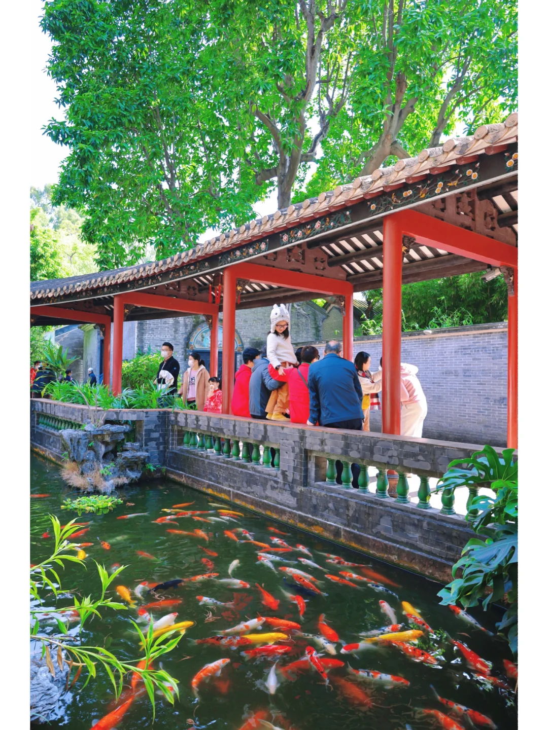 顺德逛吃一日游攻略｜千万不要节假日过来❌