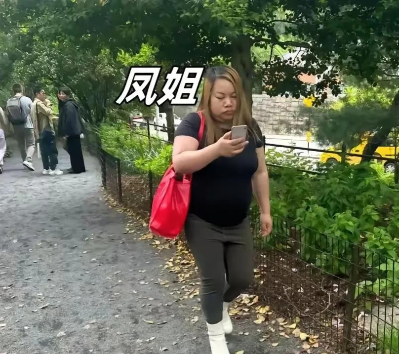 网红凤姐，大言不惭，说自己在美国找不到对象，就是因为中国人经常拍她，然后发到网上