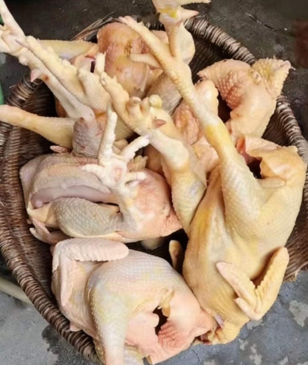 下高速后，发现带的肉鸡没有放冰箱保鲜，拿出来就臭了，路上好几个小时，扔的好心疼