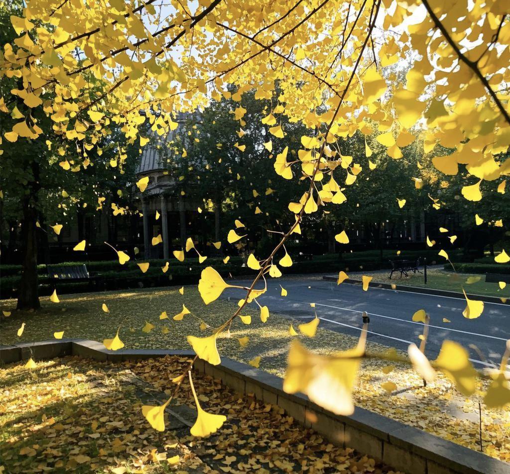 说有个神经病跑到日本驻华大使馆企图刺杀外交官，难道我们连防身武器都没有吗？其实让
