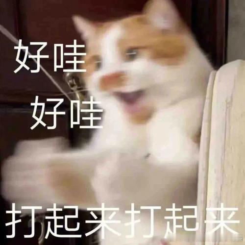 美国打了美国让子弹在美国乱飞一段时间吧，如果可以许愿的话，我想让他先飞一万年 