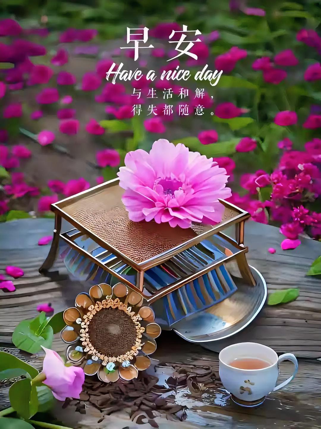 早安！与繁花同品一杯晨茶，得失随缘，把日子过成诗中的温柔。愿你今日心情愉悦，享受
