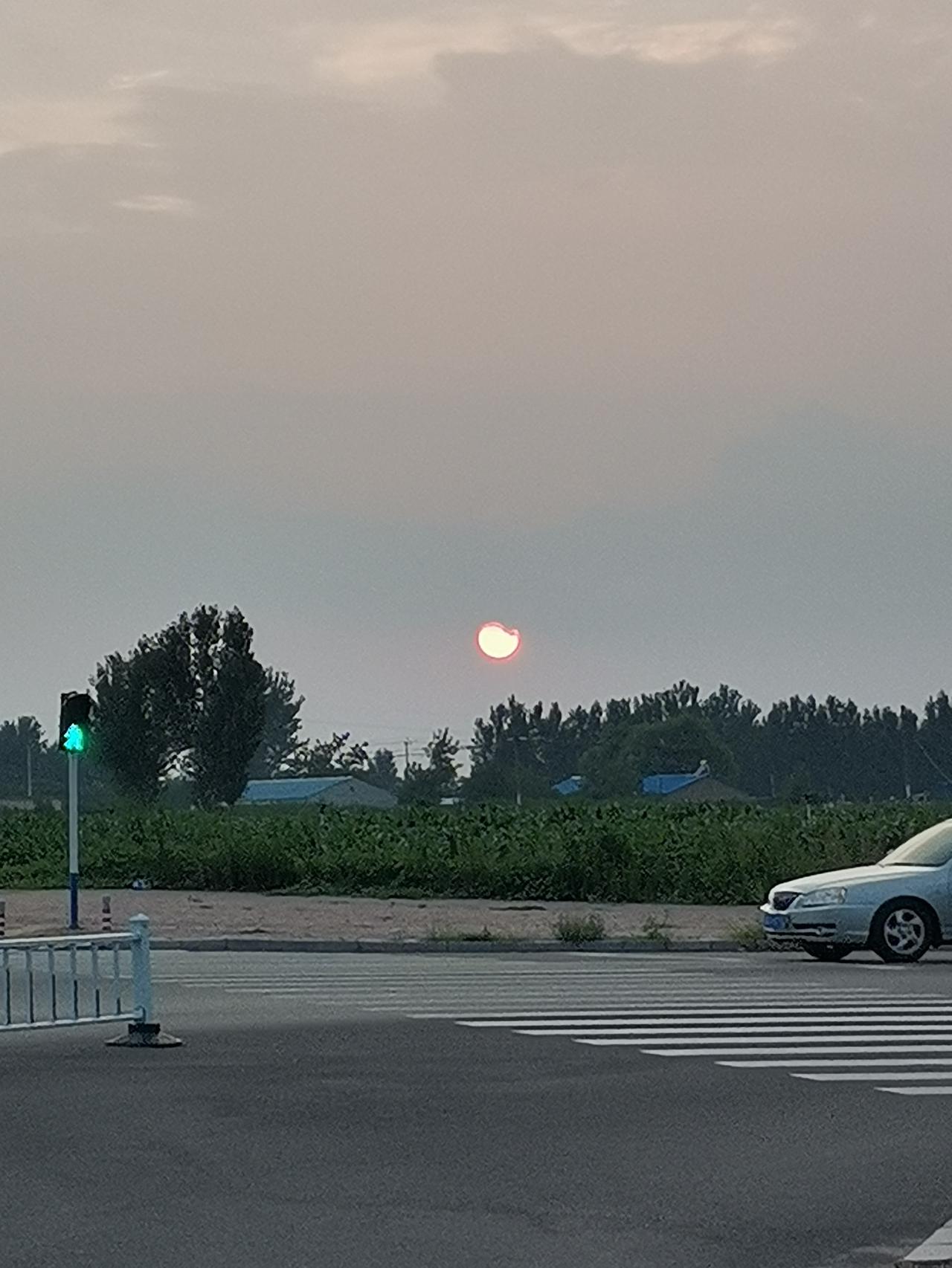 夏日生活打卡季